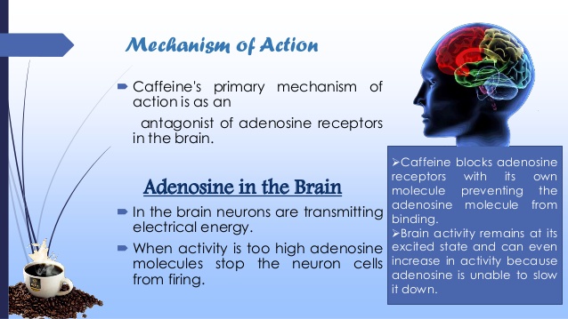 The mechanism of action of caffeine 