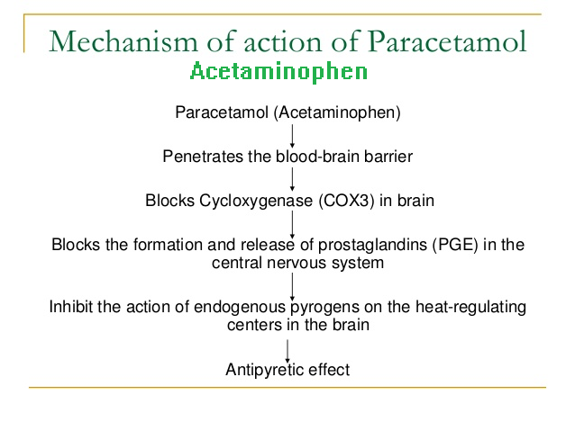 The mechanisms of action of acetaminophen